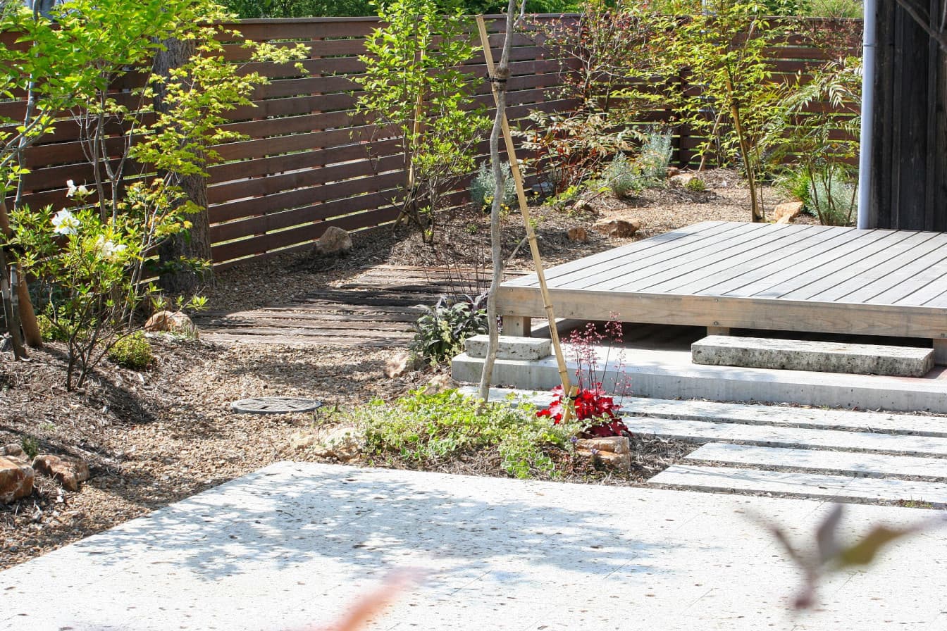 昼の庭のアプローチと植物