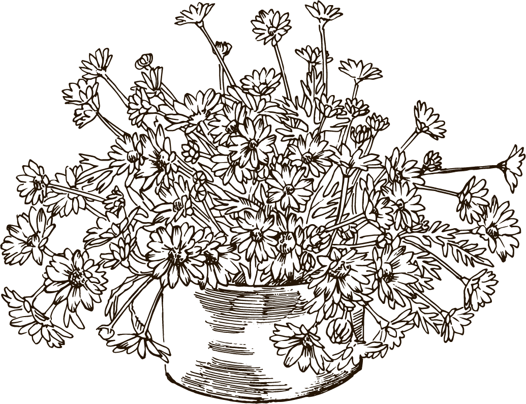 スケッチ画のようなマーガレットのイラスト