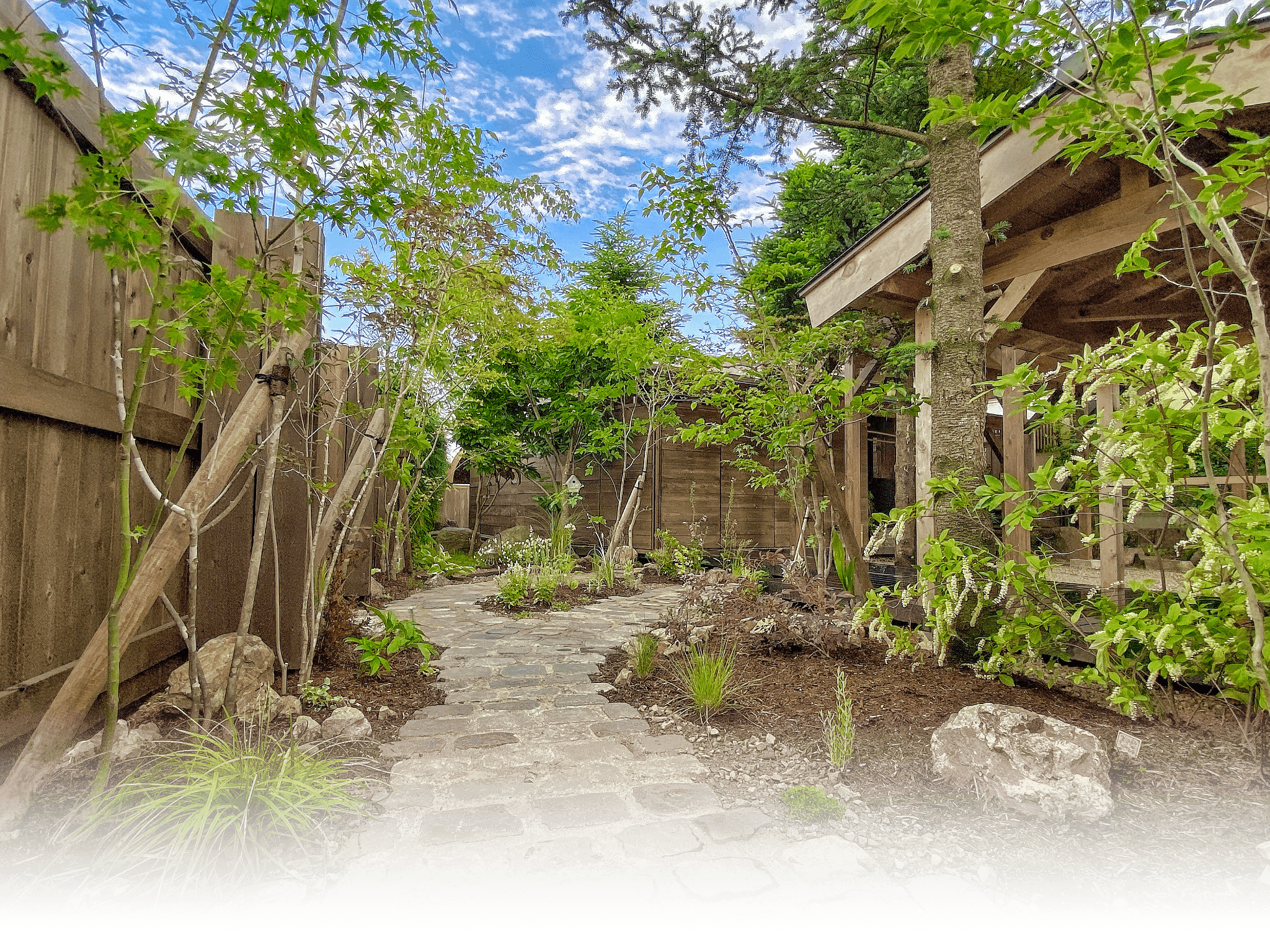 石のアプローチを囲む植物が印象的な庭