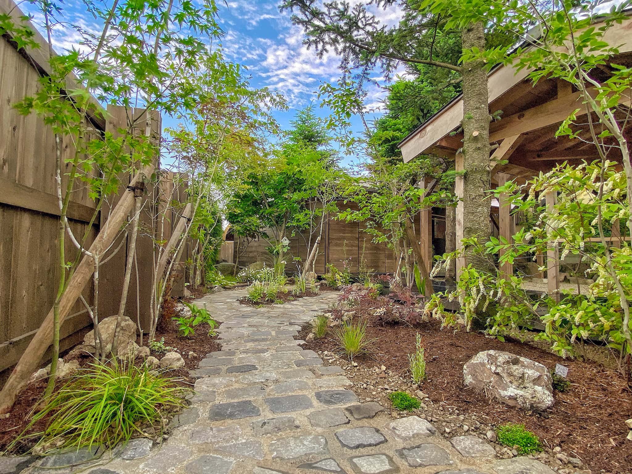 石のアプローチを囲む植物が印象的な庭