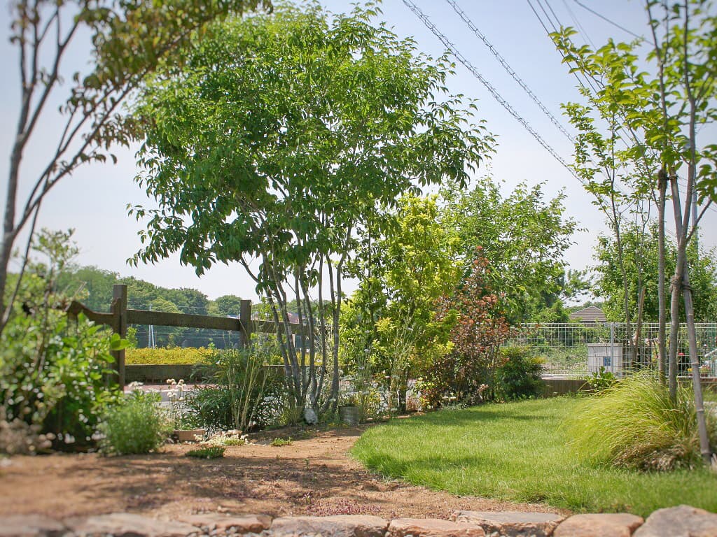 木製のフェンスと木や植物、青々とした芝生が印象的な庭