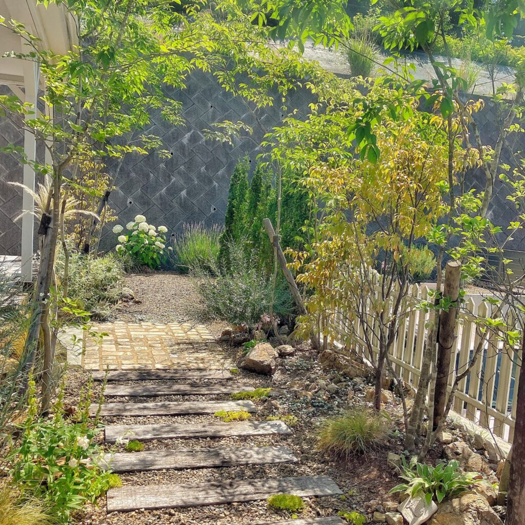 木で作られたアプローチをトンネルのように緑の植物が生えている