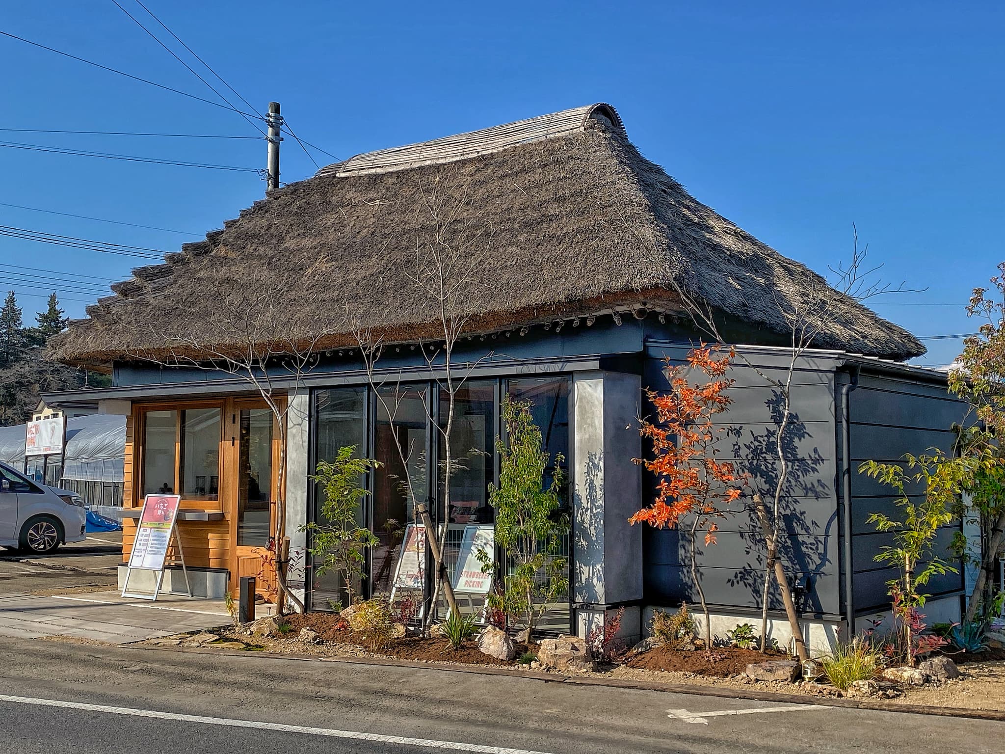 茅葺き屋根が印象的な黒い建物の周辺に植物が生えている