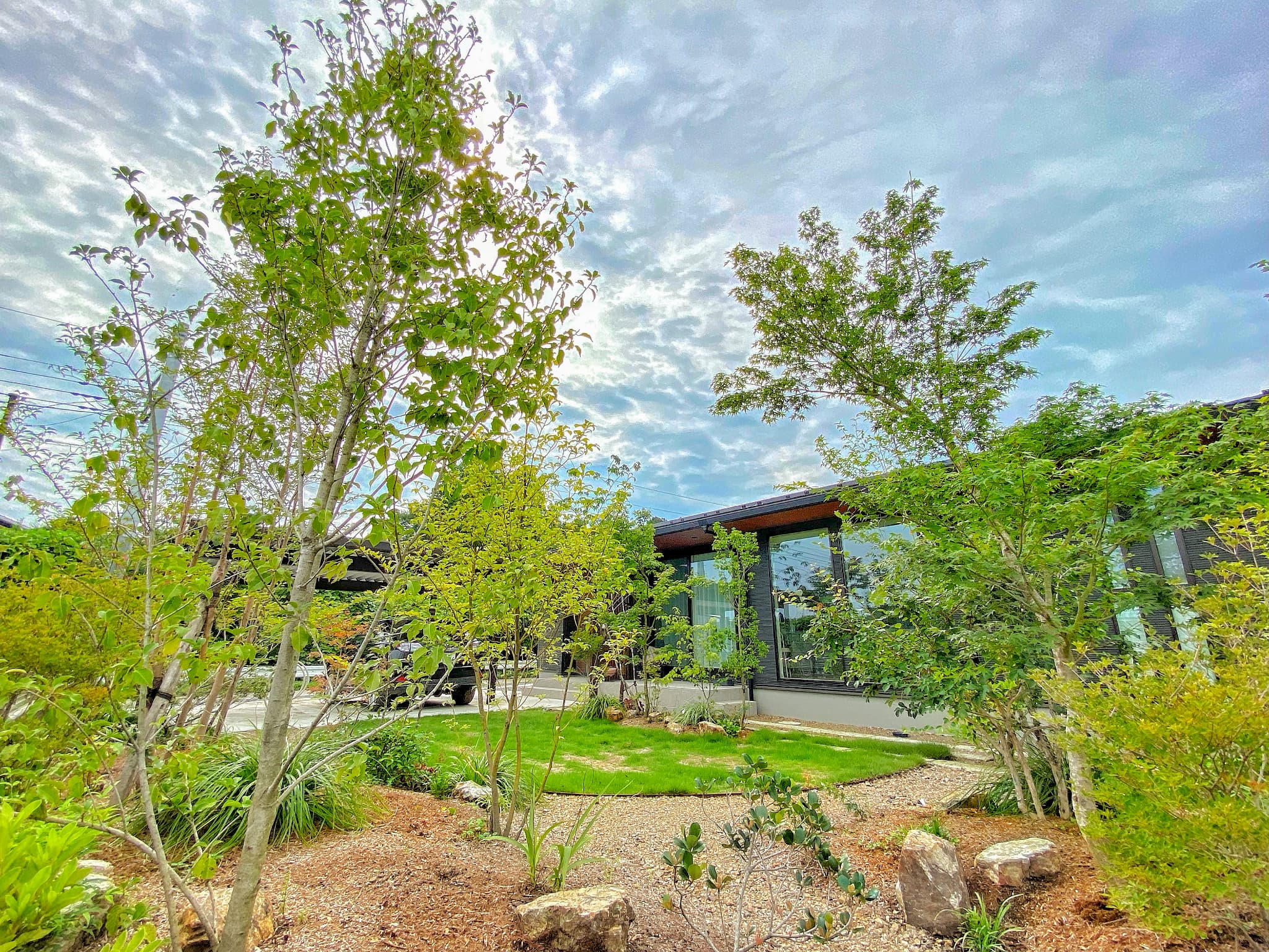 植物が印象的な庭とモダンな建物